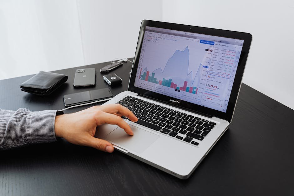 SEO professional using URL extractor for competitive link analysis and research